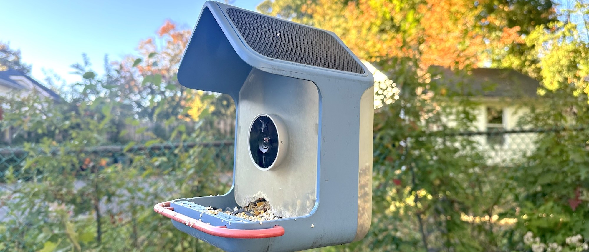 The BirdBuddy Home set up in a backyard