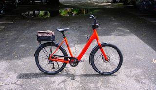 A red Trek Verve+ Lowstep LT bike against a dark asphalt background.
