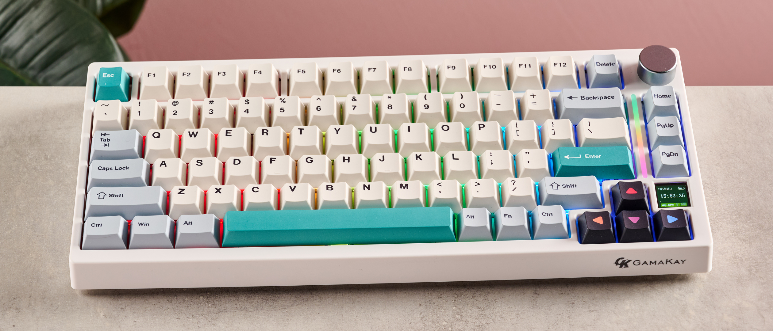Gamakay TK75 V2 on desk with pink wall and plant in background