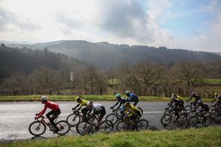 The pack of riders cycles during the 4th stage of the Paris-Nice cycling race, 163,4 km between Vichy and La Loge des Gardes, on March 12, 2025. (Photo by Anne-Christine POUJOULAT / AFP)