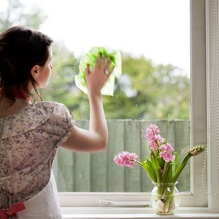 Woman cleaning windows and small flower vase
