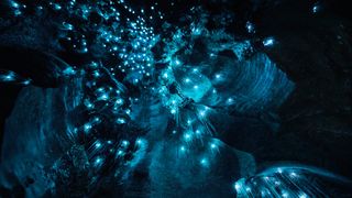 glowing blue lights from glowworms light up a vast cave. The scene looks like something from another planet.