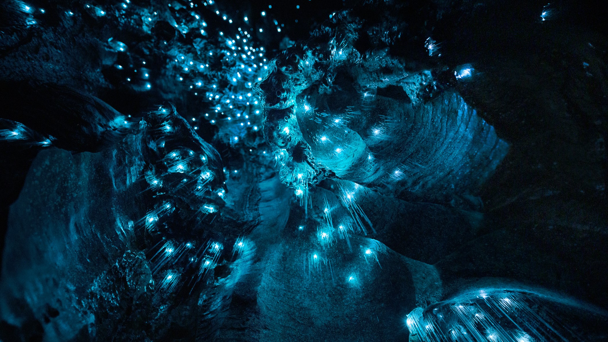 glowing blue lights from glowworms light up a vast cave. The scene looks like something from another planet.