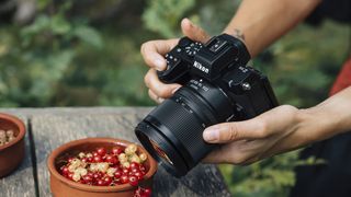 A person holds a Nikon camera above bowls of colorful berries on a wooden table, surrounded by greenery