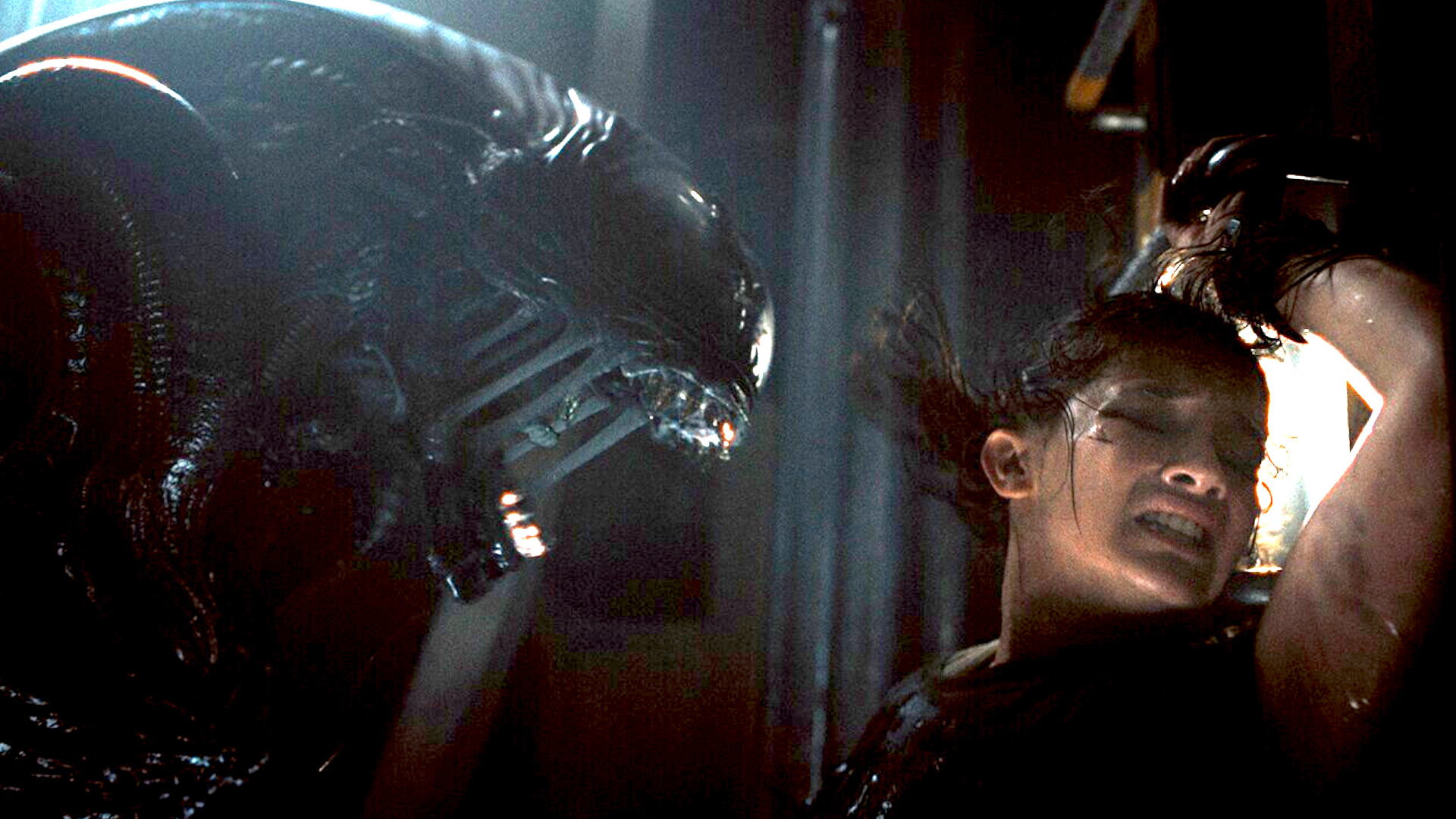 Alien: Romulus’ success sets the stage for a return to Alien vs. Predator