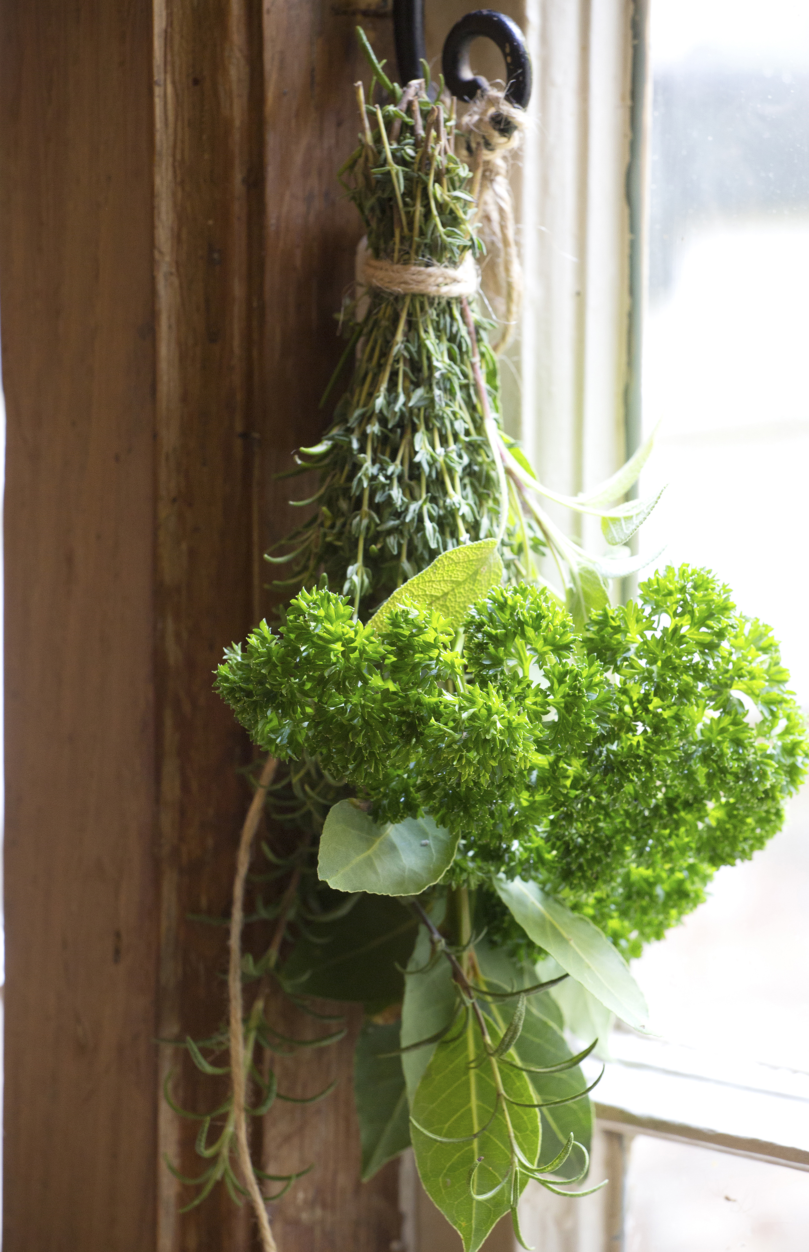 herbs hanging up to dry