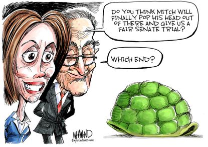 Political Cartoon U.S. Pelosi Schumer Mitch Turtle Shell Hiding Trump Impeachment