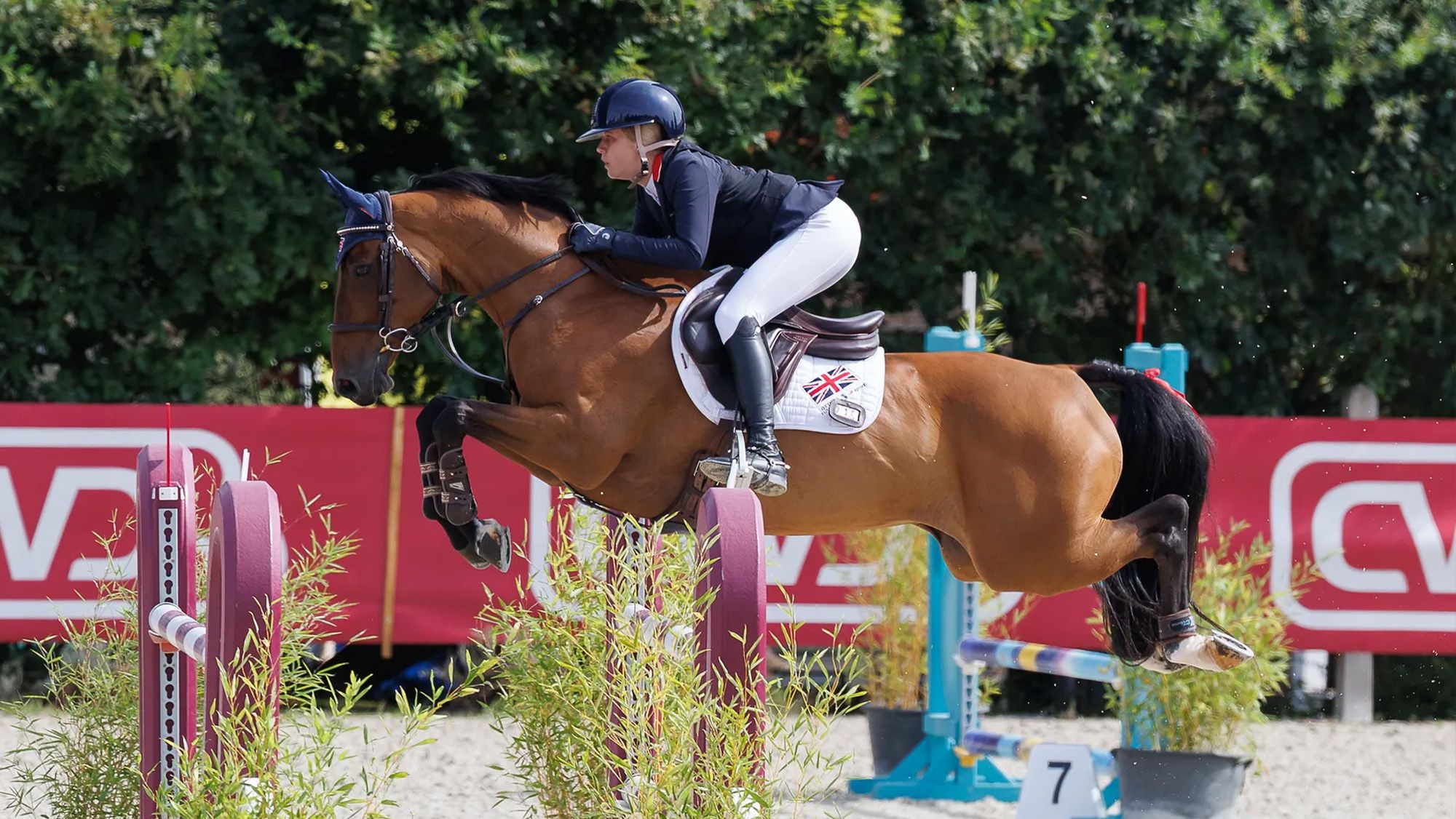 Meet ‘the world’s best pony’ who was originally bred to be a horse