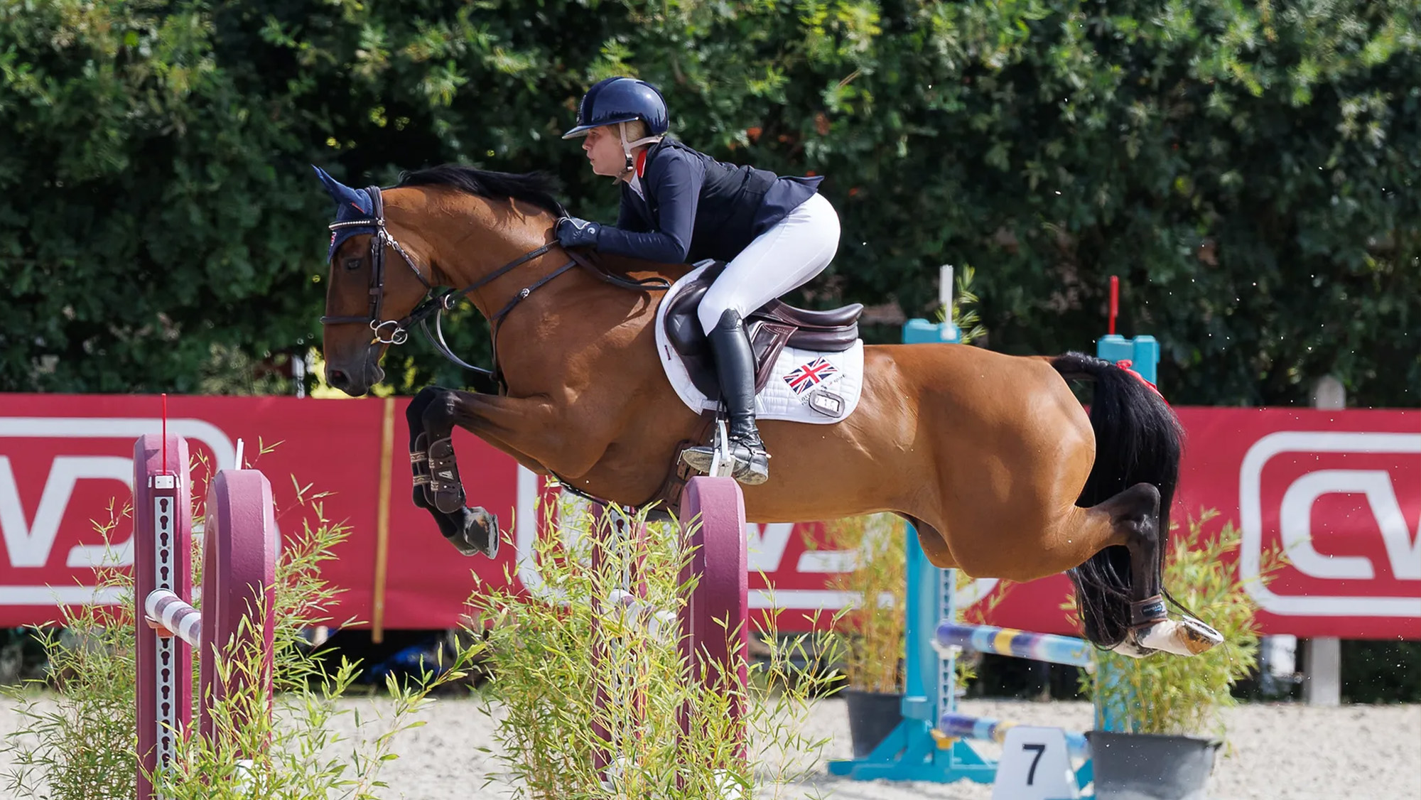Sophia Rogers and Neil 55 win double gold at the 2026 pony European Championships in Le Mans, France.