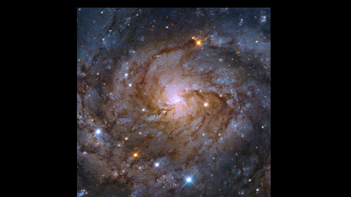 Spiral galaxy IC 342, also known as Caldwell 5, imaged by the Hubble Space Telescope.