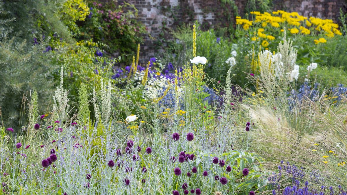 How to design and plant a butterfly border for pollinators | Homes ...