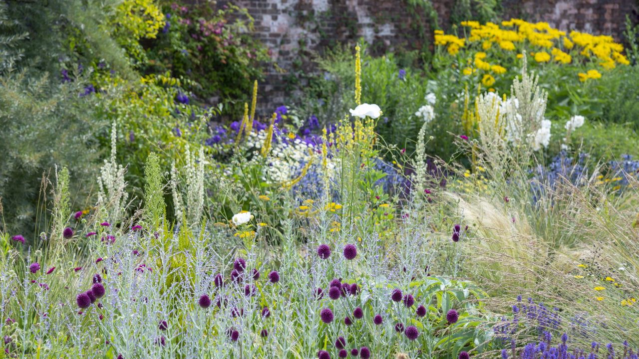 Colorful garden border with perennials