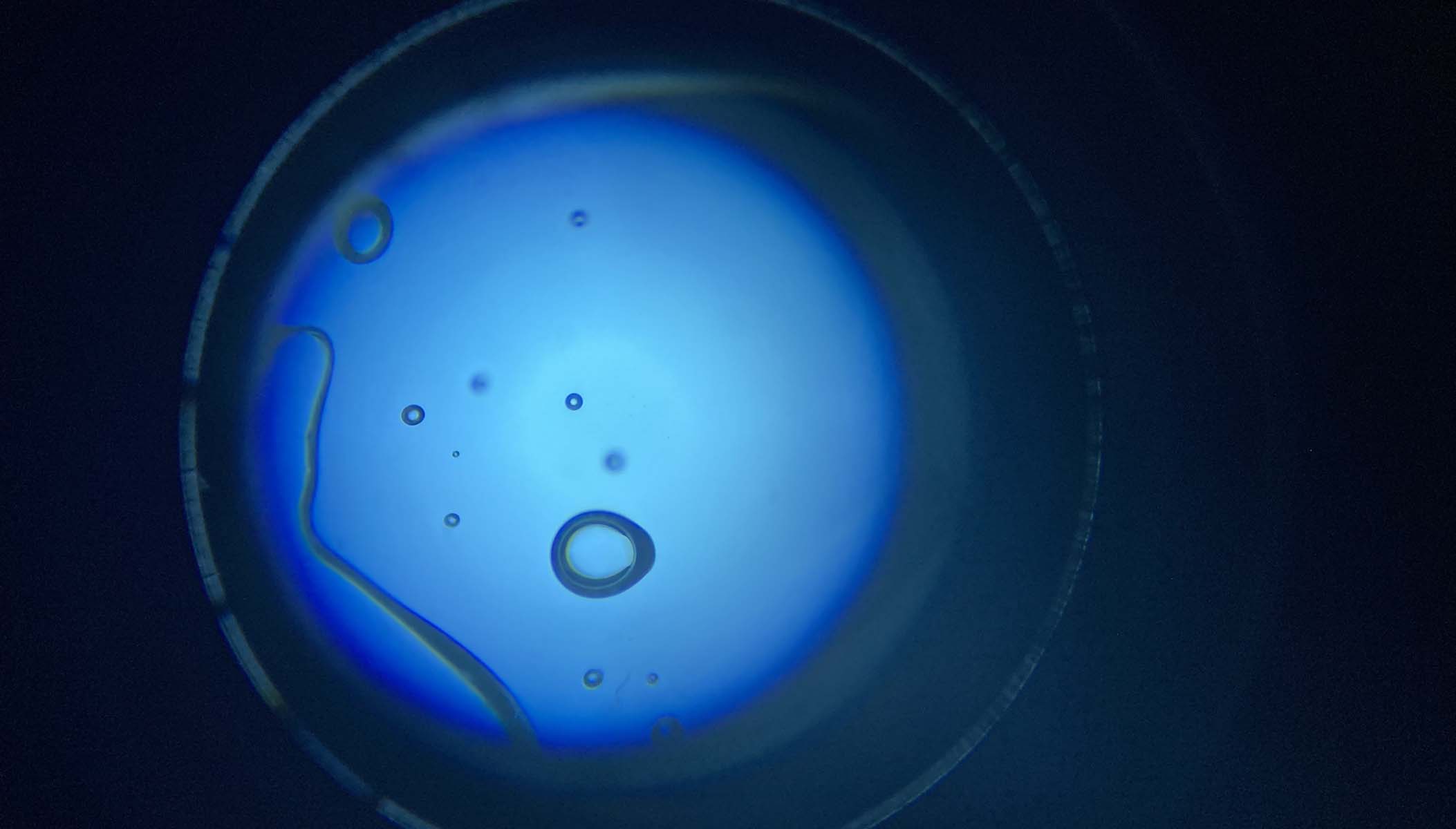 air bubbles under a microscope