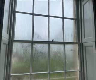 Condensation on a window that needs to be cleared by the MeacoDry Arete One 20L dehumidifier