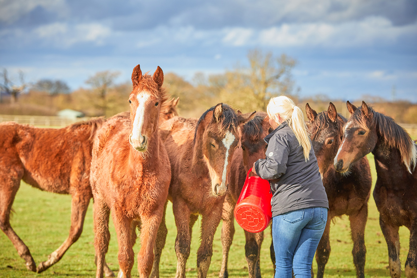 Interview Shoot, Leesha Leeman at Kellythorpe Stud