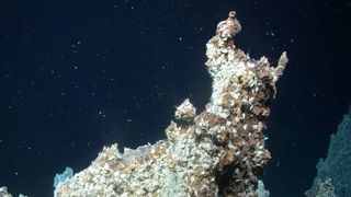 An inactive vent covered in marine organisms in the deep sea