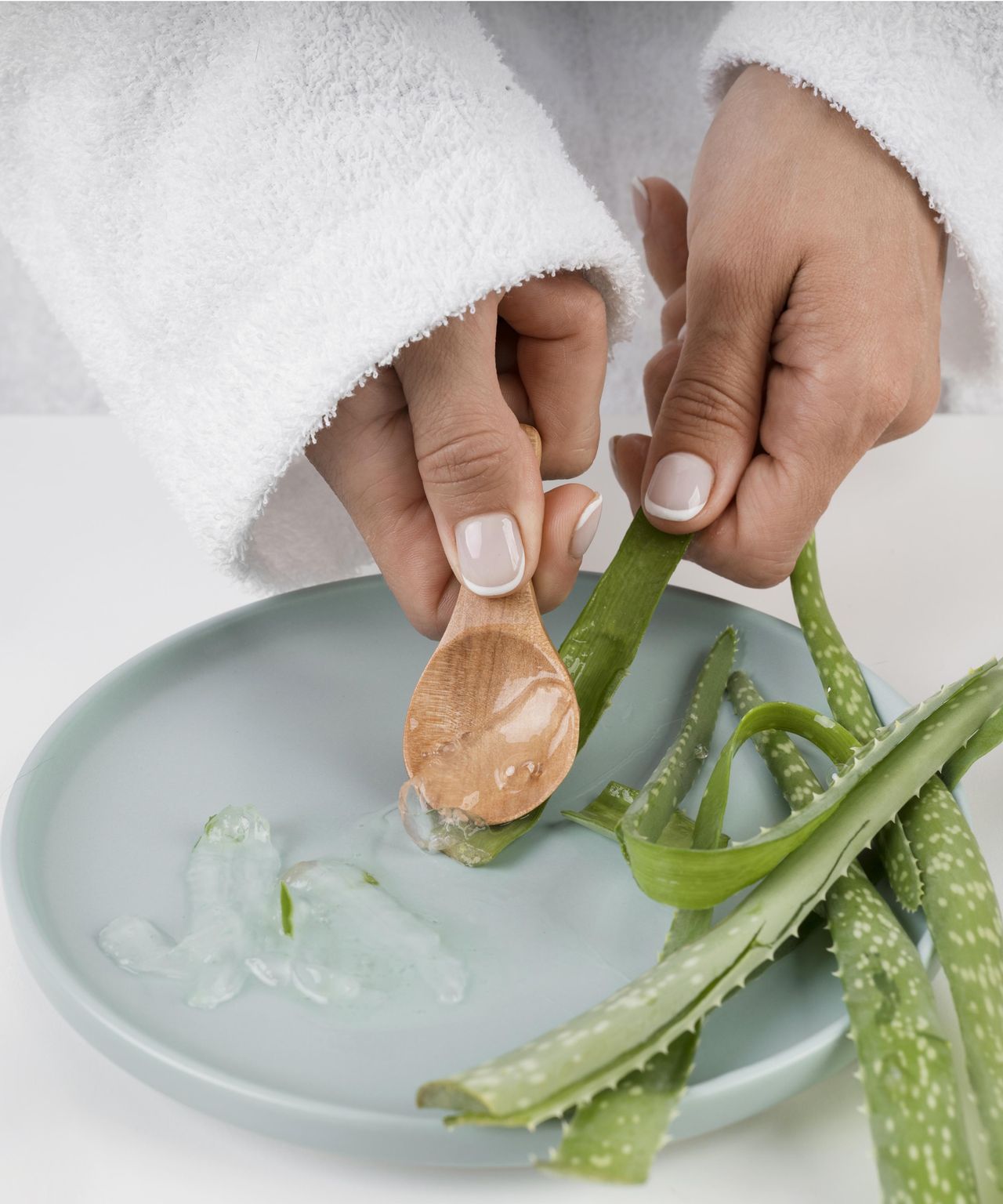 Unlock The Mystery: The Unexpected Taste Of Aloe Vera - ntdaw1u
