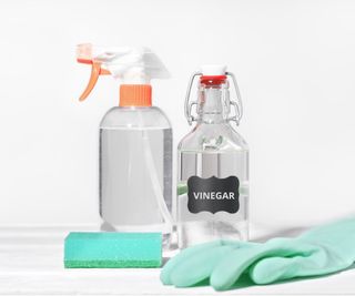 Vinegar spray solution