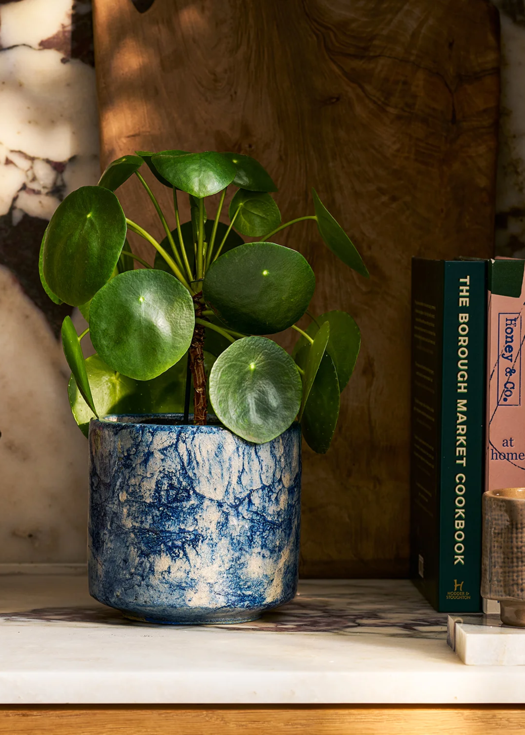 A Chinese money plant in a textured blue and white ceramic glazed planter on a stone shelf near a couple of books