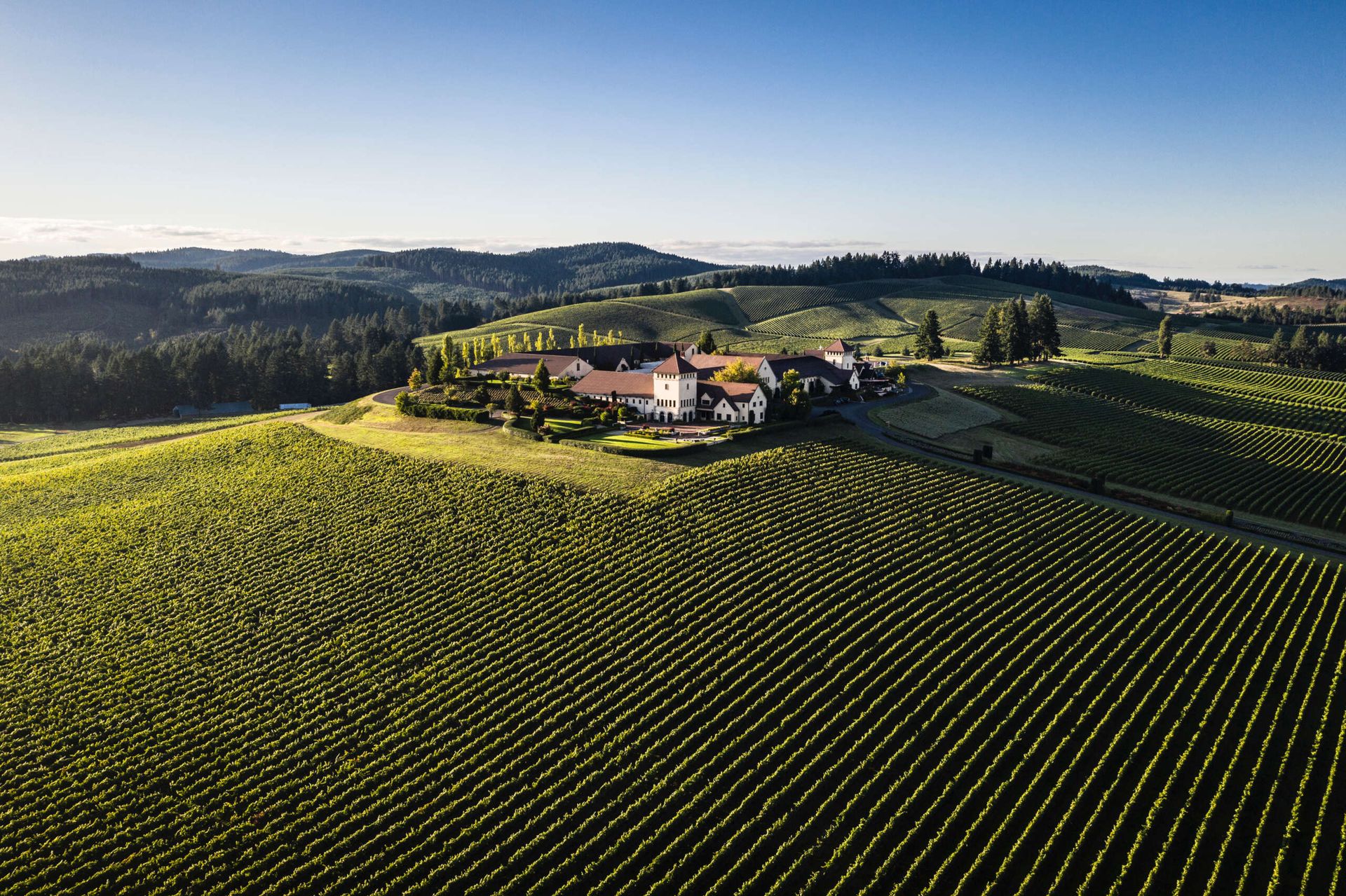 An aerial view of King Estate winery and tasting room with vineyards in the foreground and mountains in the background