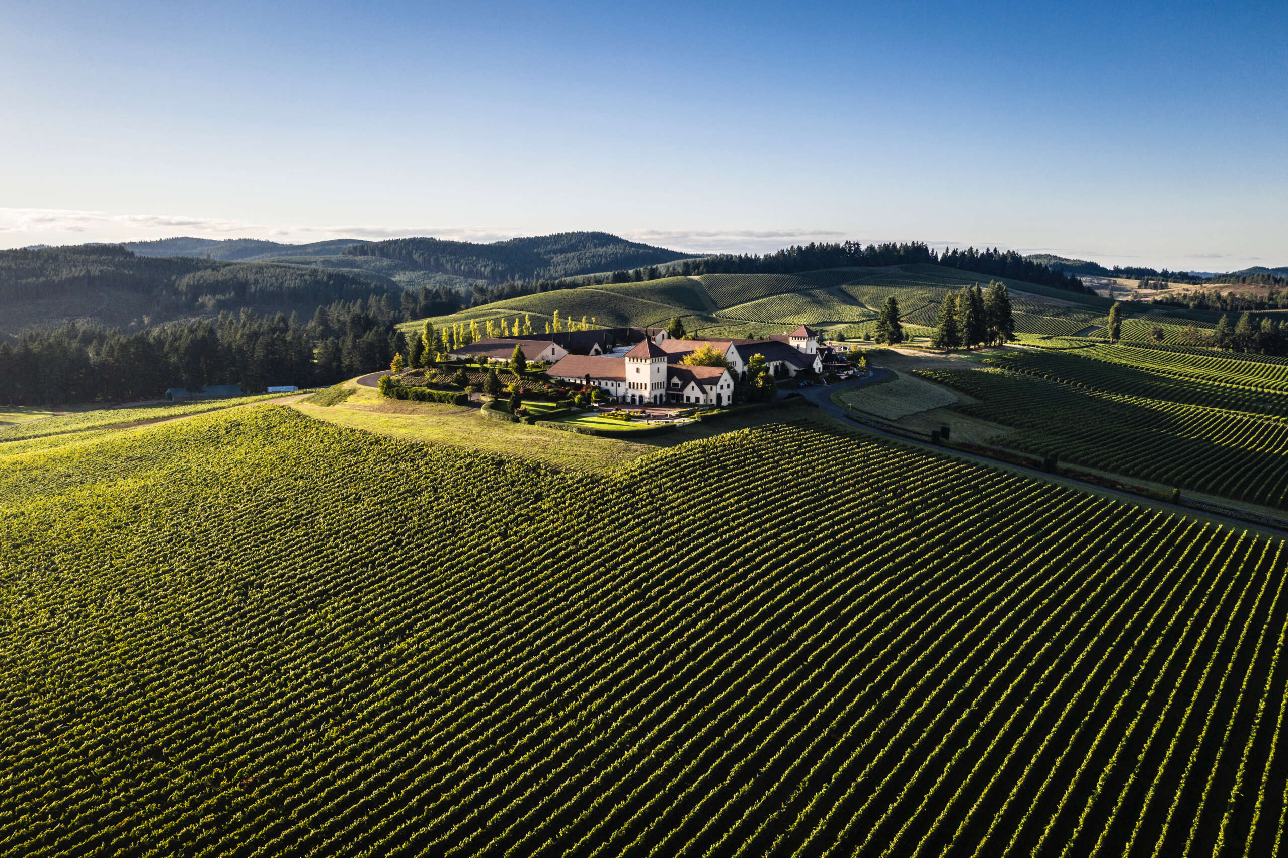 An aerial view of King Estate winery and tasting room with vineyards in the foreground and mountains in the background