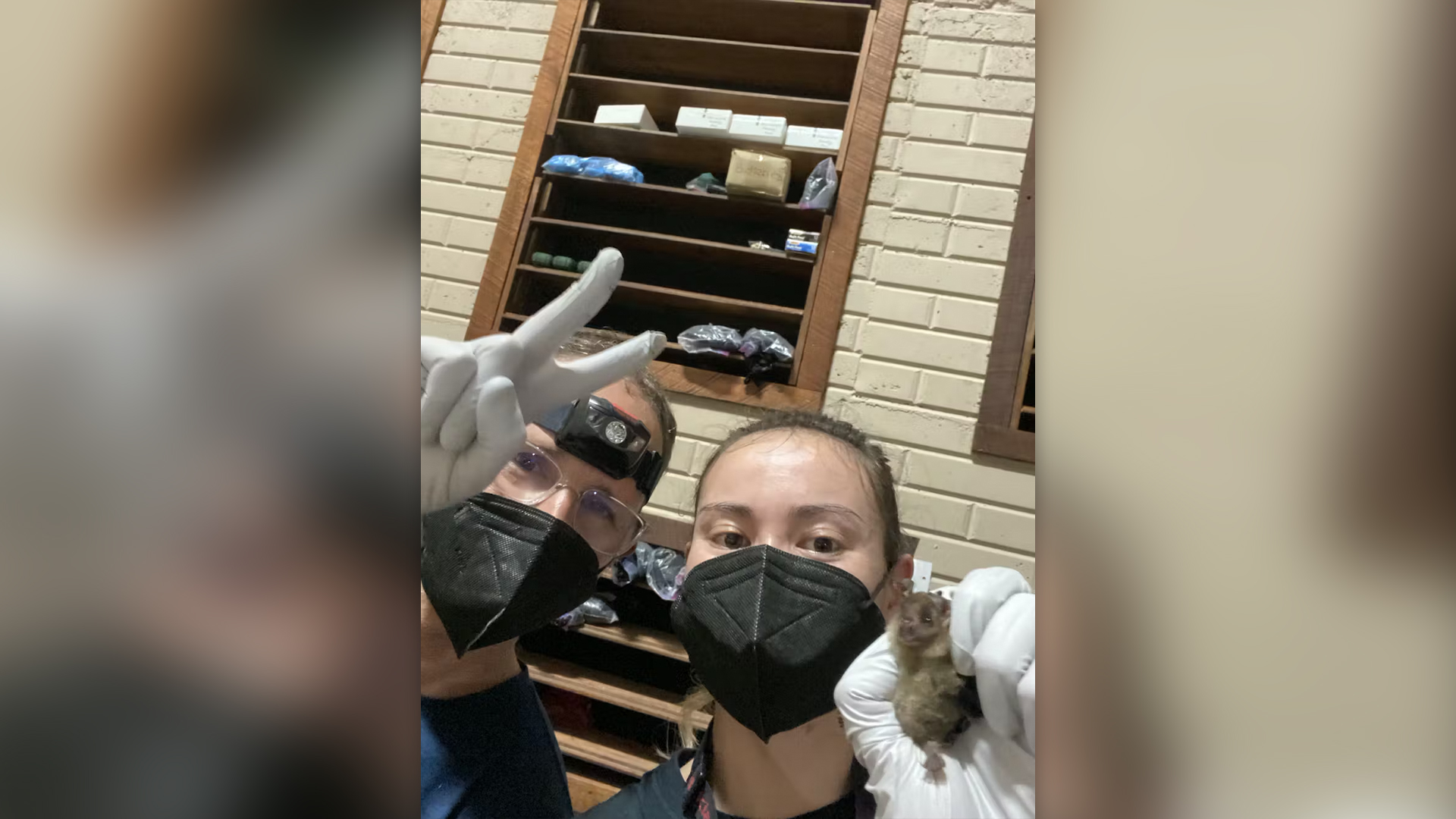 un selfie cu doi cercetători care poartă măști N95 și mănuși albe, unul ținând o bâtă în dreptul camerei
