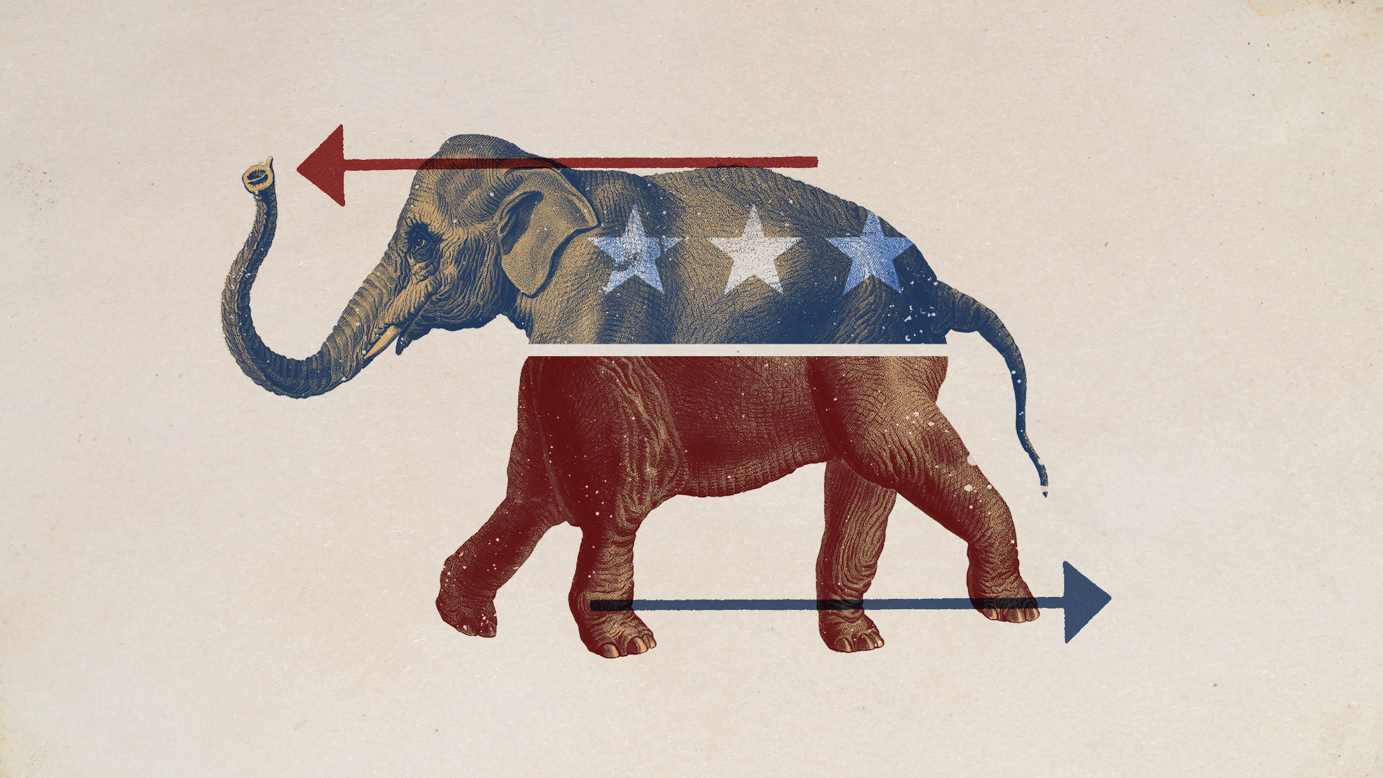 Illustrative collage of a vintage elephant illustration, with the lower half of its body pointing the other way to the upper part of its body