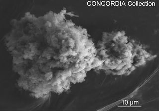 Electron micrograph of a Concordia micrometeorite extracted from Antarctic snow at Dome C. 
