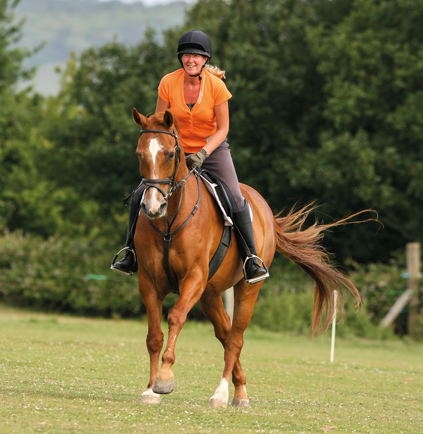 CANTERING ACROSS FIELD UP A HILL