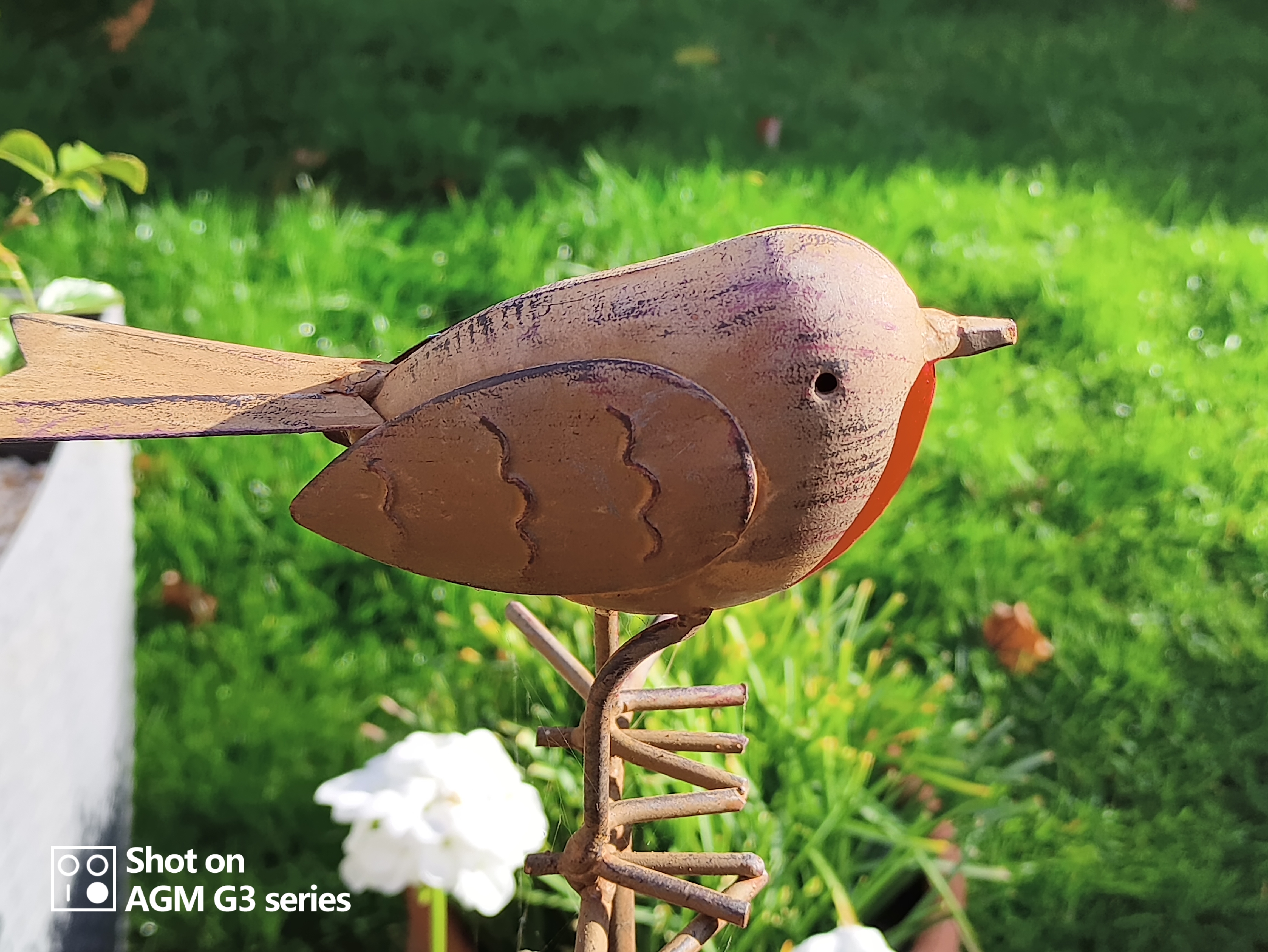 AGM G3 Pro photo and thermal examples