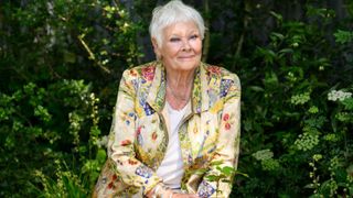 Dame Judi Dench