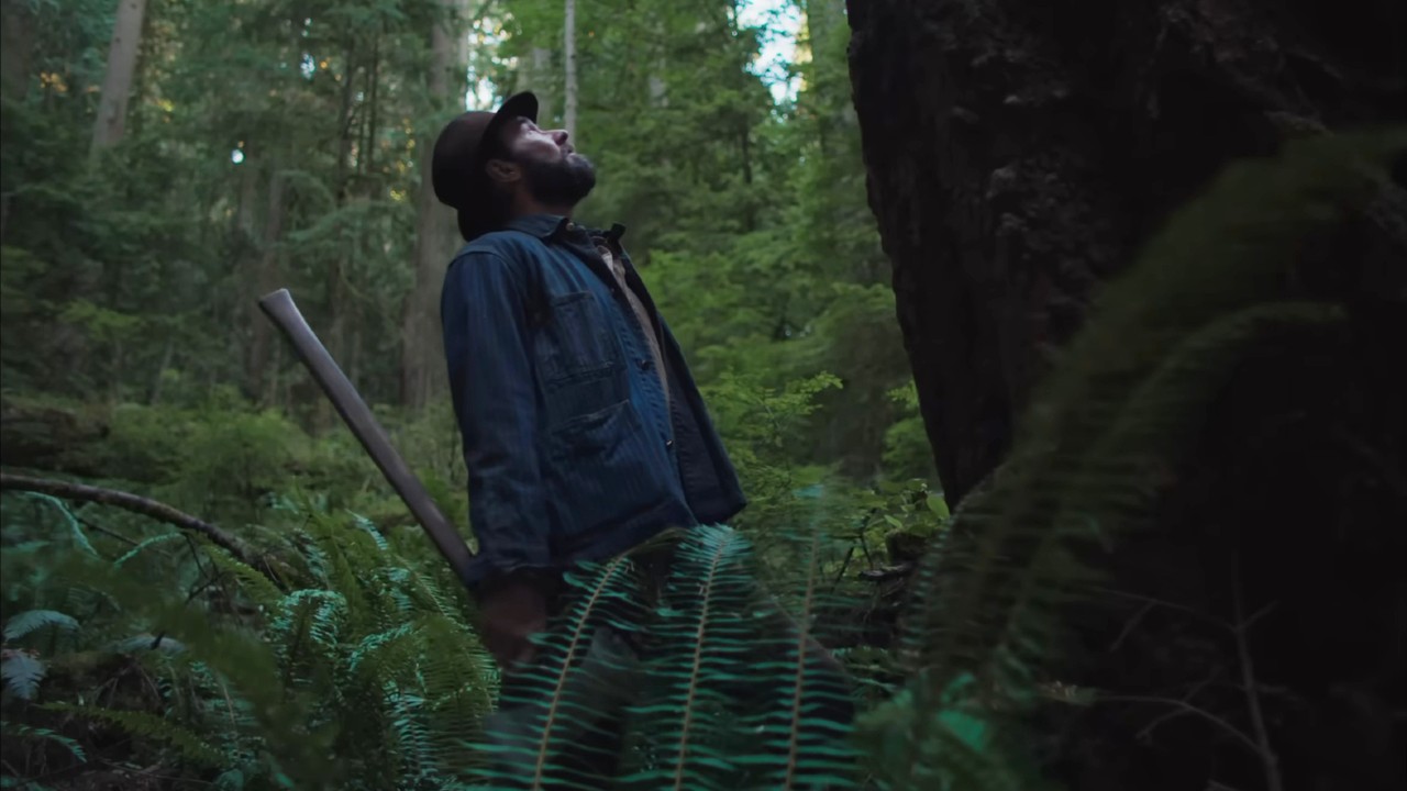 Joel Edgerton looking up in Train Dreams.