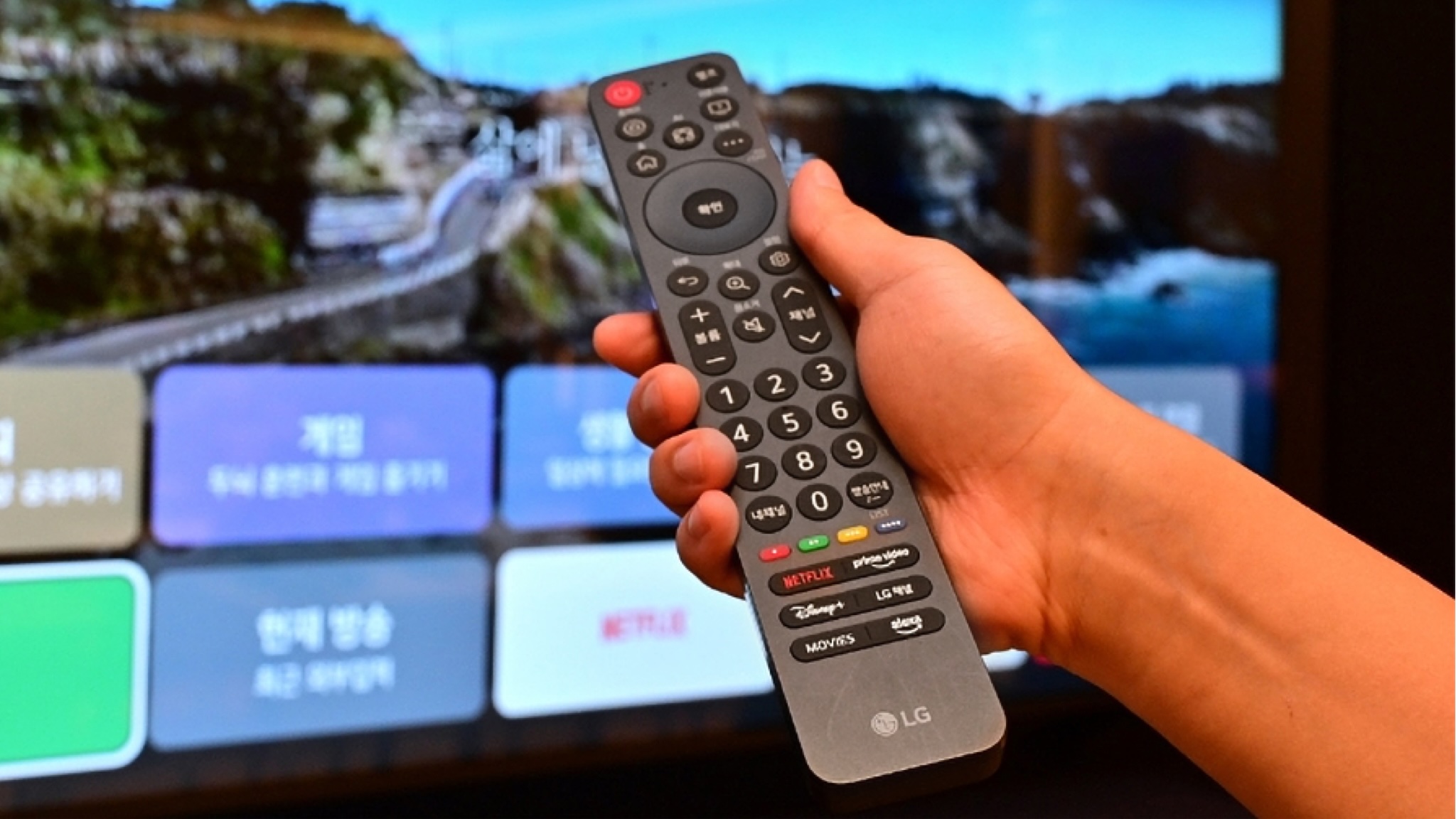 A hand holding the remote control in front of an LG Easy TV to show its relatively simple design.