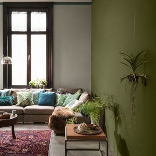 A living room with a beige corner sofa, a red Persian rug and an olive green feature wall