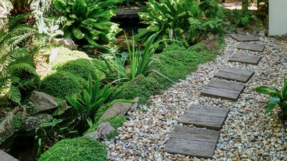 Wooden stepping stones on gravel path in garden