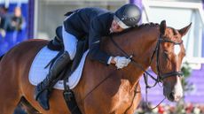 World Para Dressage Championships results Rihards Snikus