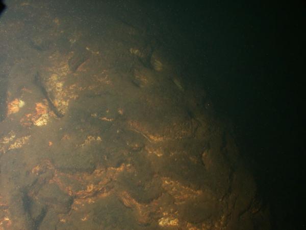 A digital underwater photograph of area around the pink terrace structures in Lake Rotomahana, New Zealand.