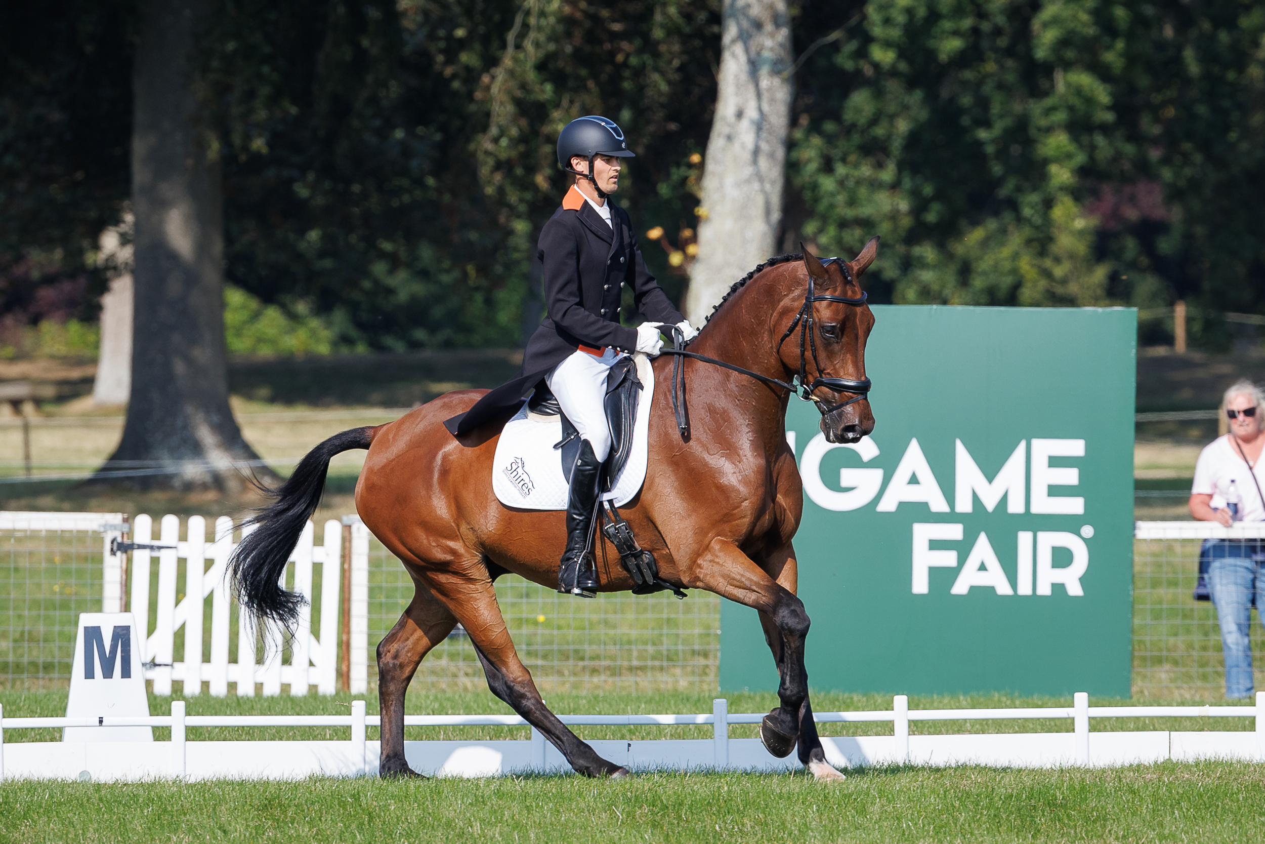 Blenheim Horse Trials dressage results 2024: Tom Woodward and Low Moor Lucky
