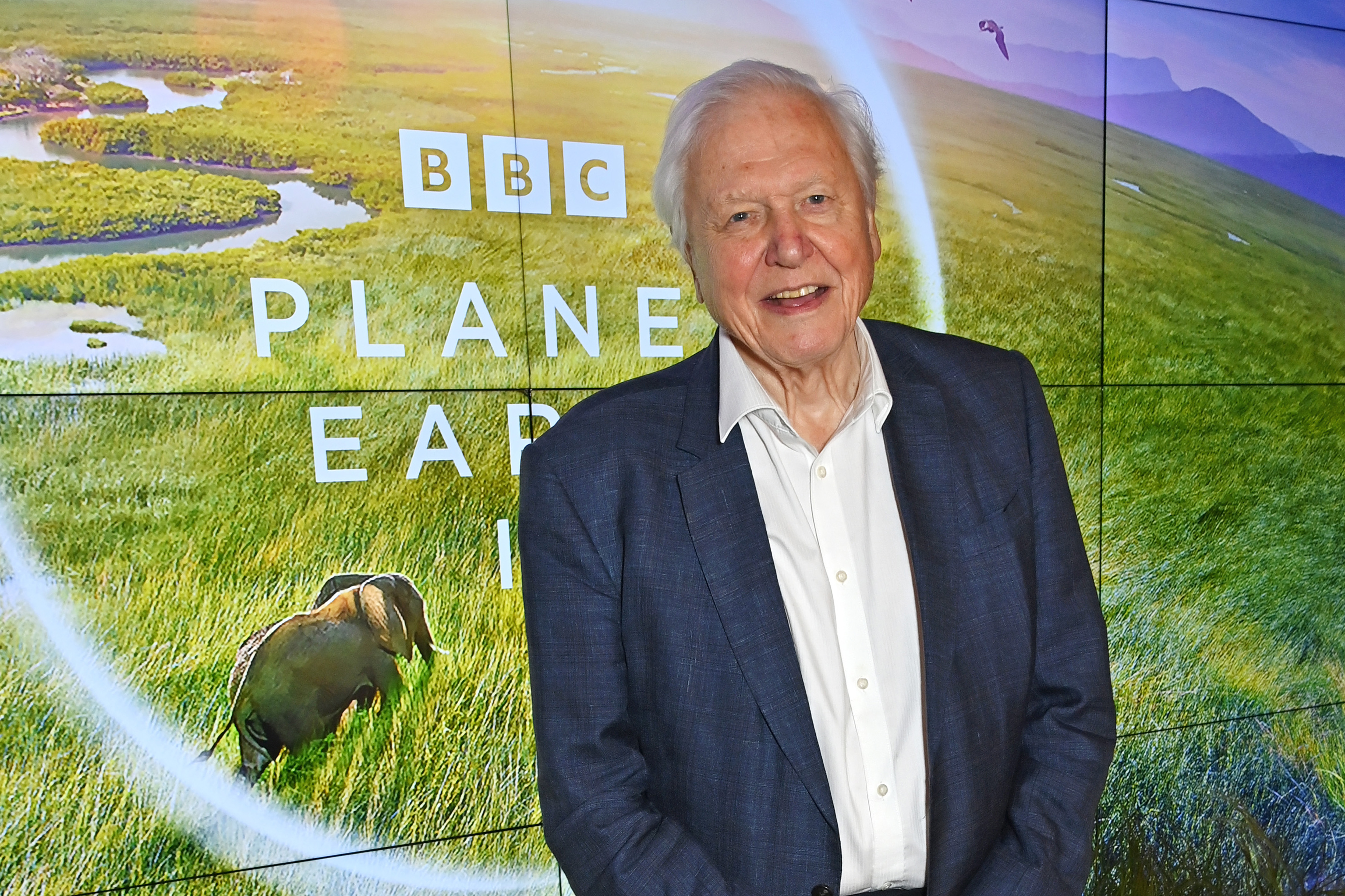 LONDON, ENGLAND - OCTOBER 12: Sir David Attenborough attends the Global Launch of BBC Studios' &amp;quot;Planet Earth III&amp;quot; at Frameless on October 12, 2023 in London, England. (Photo by Dave Benett/Getty Images)