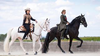 Two Tennessee walking horses performing the flat walk