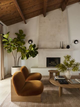 Image of a neutral, minimalist living room. There are two modern, velvet, ochre accent chairs, a circular wooden coffee table, and a tall leafy green plant in the corner