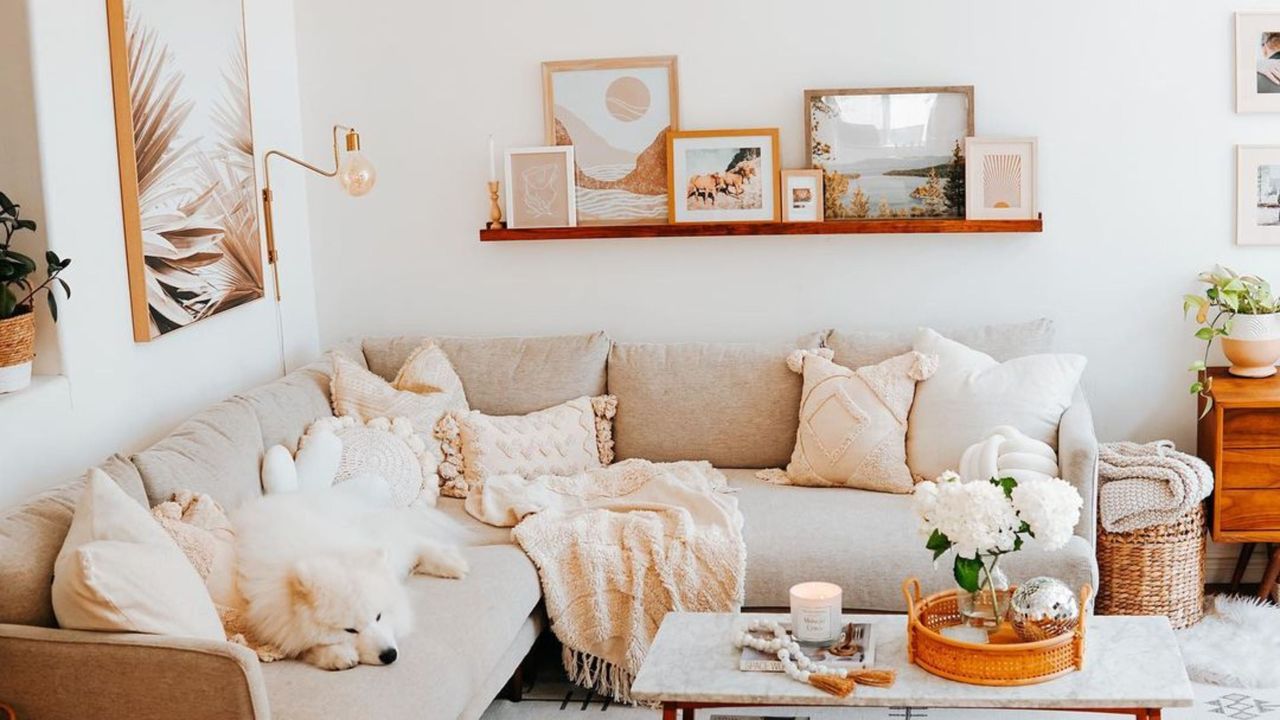 A white living room with a shelf of art, a coffee table, and a white L-shaped sofa with a dog on it