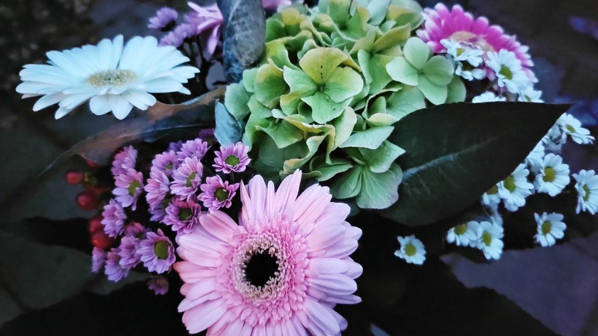 Motorola Edge 20 Pro camera