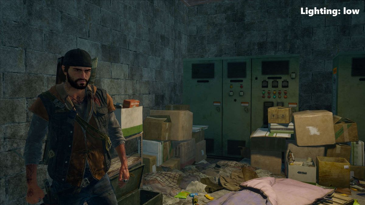 Days Gone graphics test screenshot