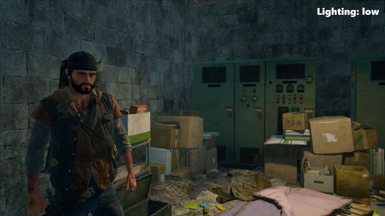 Days Gone graphics test screenshot