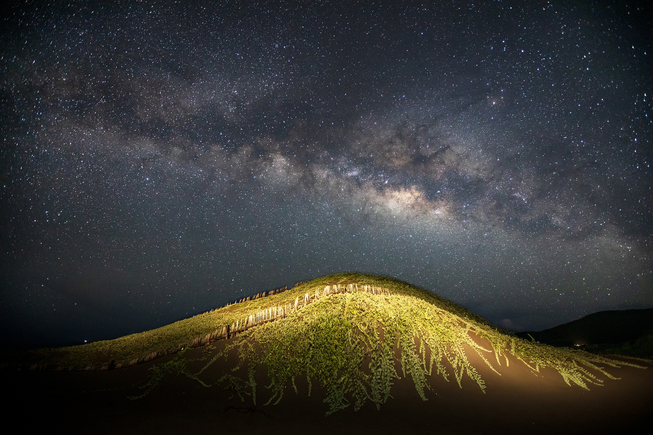 A wide-angle, long-exposure photograph captures the brilliant arch of the Milky Way galaxy stretching across a dark night sky, above a low, grass-covered hill that is illuminated from below, highlighting its textured surface and trailing vines.