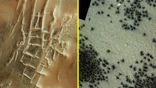 Mars' Inca City formation (left) is overrun with rounds of black 'spiders' (right), a regular springtime phenomenon on the Red Planet