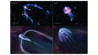 This four-panel graphic shows the two pulsars observed by Chandra. Geminga is in the upper left and B0355+54 is in the upper right. In both of these images, Chandra’s X-rays, colored blue and purple, are combined with infrared data from NASA’s Spitzer Space Telescope that shows stars in the field of view. Below each data image, an artist’s illustration depicts more details of what astronomers think the structure of each pulsar wind nebula looks like.