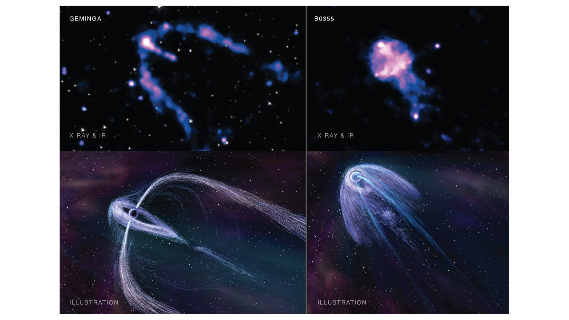 Este gráfico de cuatro paneles muestra los dos púlsares observados por Chandra.  Geminga está arriba a la izquierda y B0355+54 arriba a la derecha.  En ambas imágenes, los rayos X de Chandra, de color azul y morado, se combinan con datos infrarrojos del Telescopio Espacial Spitzer de la NASA que muestran estrellas en el campo de visión.  Debajo de cada imagen de datos, la ilustración de un artista muestra más detalles de lo que los astrónomos creen que es la estructura de cada nebulosa de viento púlsar.