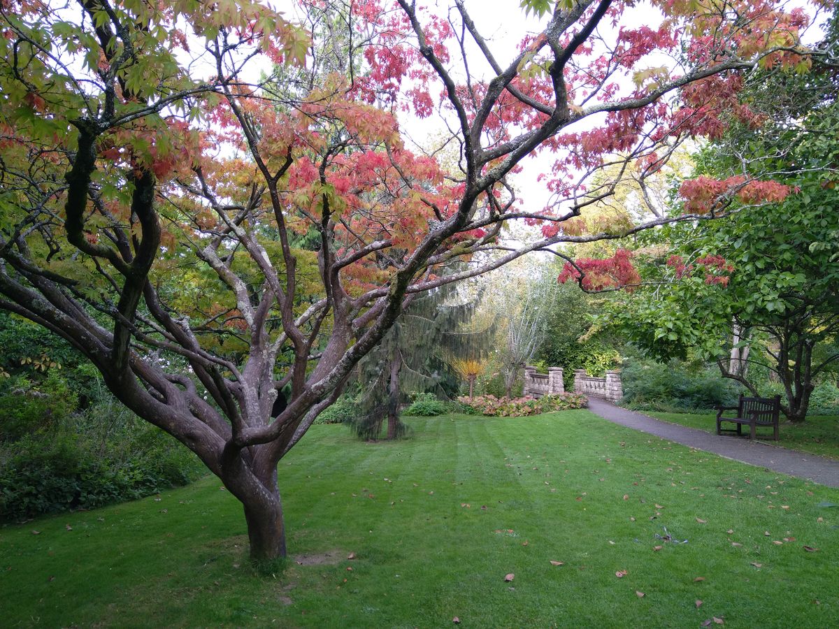 CAT S62 Pro review | Digital Camera World